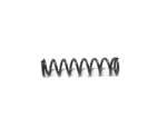 Reximex Spare Part RP Air Tube Valve Spring - Bild 2