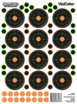Champion 2" VisiColor Bulls Eye 5Pk W/60 Pastors - Bild 2