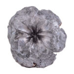 CCI Uppercut Ammunition 22 LR Jacketed HP 32gr 50/Box - Bild 2