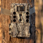 Bushnell Core DS-4K No Glow Trail Camera - Bild 5