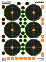 Champion 25 Yd VisiColor Sm Bore 5Pk W/90 Pastors