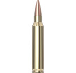 Hornady Match™ Ammunition 223 REM 75 gr BTHP Match™ 20/Box