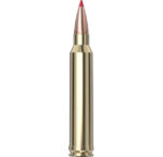 Hornady Superformance® Ammunition 300 Win Mag 165 gr CX™ SPF 20/Box
