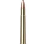 Hornady Dangerous Game™ Ammunition 9.3X74R 286 gr SP-RP 20/Box