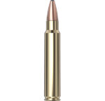 Hornady Dangerous Game™ Ammunition 375 Ruger 270 gr SP-RP 20/Box
