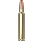Hornady Dangerous Game™ Ammo 375 Ruger 300 gr DGX® Bonded 20/Box