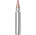 Hornady Outfitter® Ammunition 375 Ruger 250 gr CX™ 20/Box