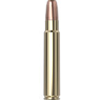 Hornady Dangerous Game™ Ammo 416 Ruger 400 gr DGX® Bonded 20/Box