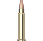 Hornady Rimfire Varmint Express® Ammo 17 HMR® 20 gr XTP® 50/Box - Bild 2