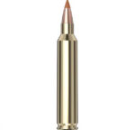 Hornady Superformance® Varmint™ Ammo 204 Ruger 24 gr NTX® 20/Box