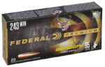 Federal Premium Ammo 243 Win Berger Hybrid Hunter 95gr 20/Box - Bild 3
