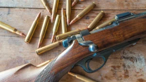 Vapen och ammunition